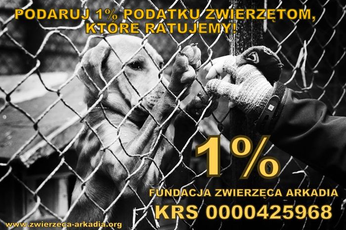 Fundacja "Zwierzęca Arkadia"