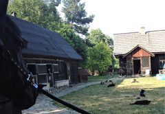Fundacja im. Maćka Kozłowskiego Pan i Pani Pies