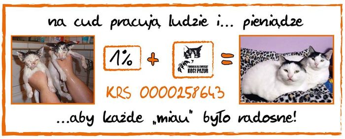 Fundacja dla Zwierząt "Koci Pazur"