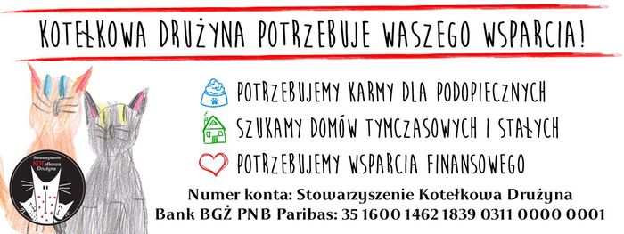 Stowarzyszenie KOTełkowa Drużyna