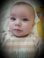 233 Ksawery Pertek