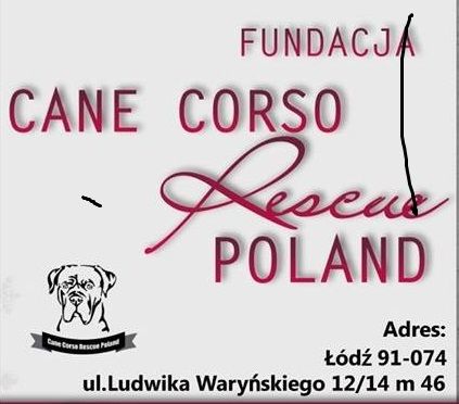Fundacja Cane Corso Rescue Poland