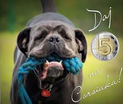 Fundacja Cane Corso Rescue Poland