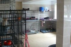 Fundacja dla Zwierząt i Środowiska "Lepszy Świat"