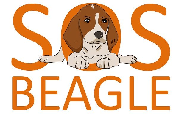 Stowarzyszenie "SOS Beagle" - logotyp/zdjęcie