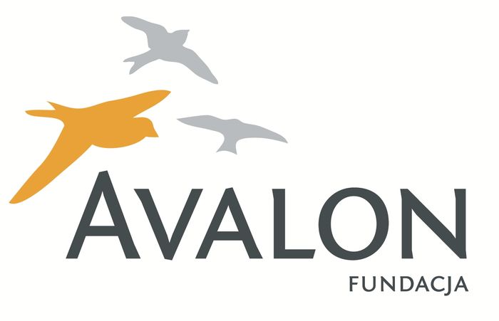 Fundacja Avalon Bezpośrednia Pomoc Niepełnosprawnym - logotyp/zdjęcie