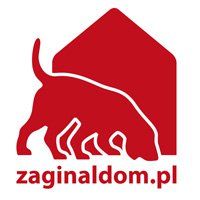 Zaginął Dom - logotyp/zdjęcie