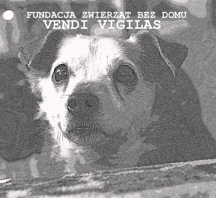 FundacjaZwierzat Bez Domu Vendi Vigilas - logotyp/zdjęcie