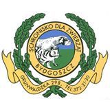 Schronisko dla Zwierząt w Bydgoszczy - logotyp/zdjęcie