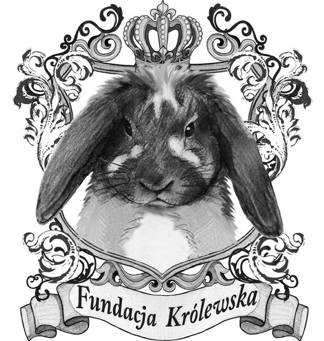 Fundacja Królewska - logotyp/zdjęcie