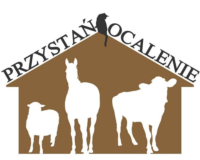 Fundacja Przystań Ocalenie - logotyp/zdjęcie