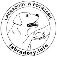 Labradory.info - logotyp/zdjęcie
