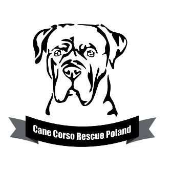 Fundacja Cane Corso Rescue Poland - logotyp/zdjęcie
