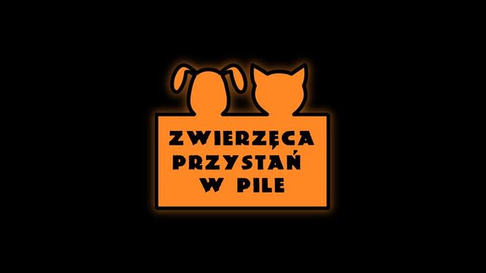 Stowarzyszenie Zwierzęca Przystań - logotyp/zdjęcie