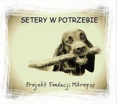Setery w Potrzebie - Projekt Fundacji Mikropsy