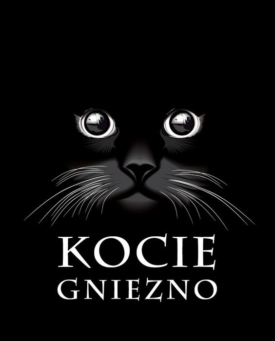 Stowarzyszenie Kocie Gniezno - logotyp/zdjęcie