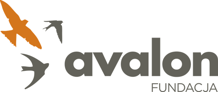 Fundacja Avalon Bezpośrednia Pomoc Niepełnosprawnym - logotyp/zdjęcie