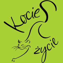 Fundacja Kocie Życie - logotyp/zdjęcie
