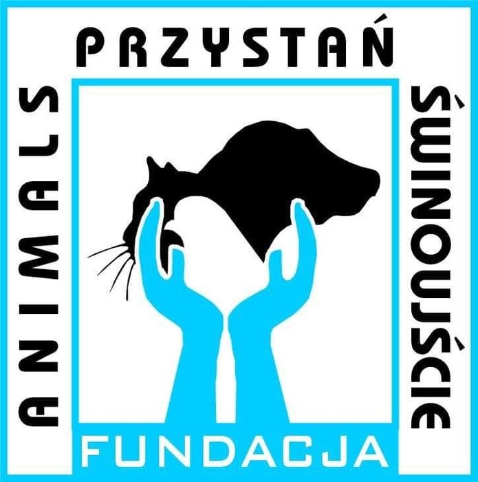 Animals Przystań Świnoujście - logotyp/zdjęcie