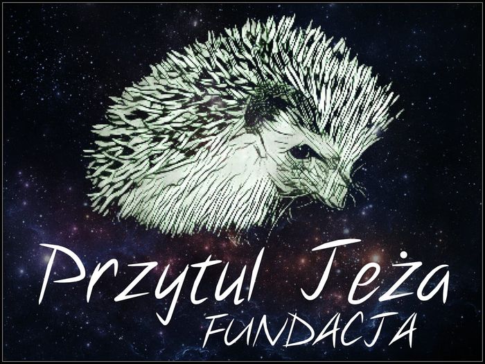 FUNDACJA PRZYTUL JEŻA - logotyp/zdjęcie